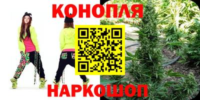 индика Славгород