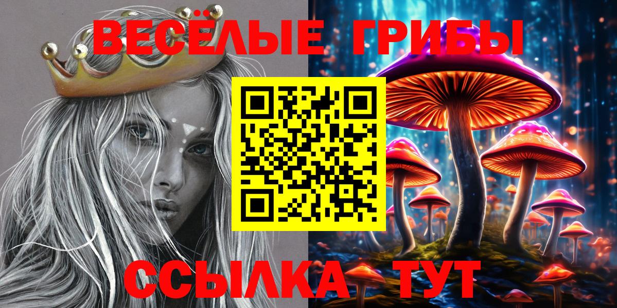 наркотики  Галлюциногенные грибы прущие грибы  Вход с VPN  Осинники 