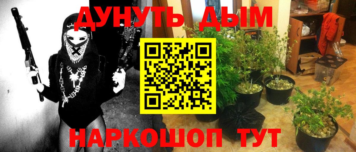 Каннабис конопля  Вход с VPN  МАРИХУАНА OG Kush  Осинники 