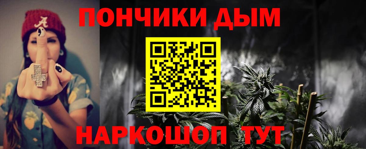 Каннабис OG Kush Осинники